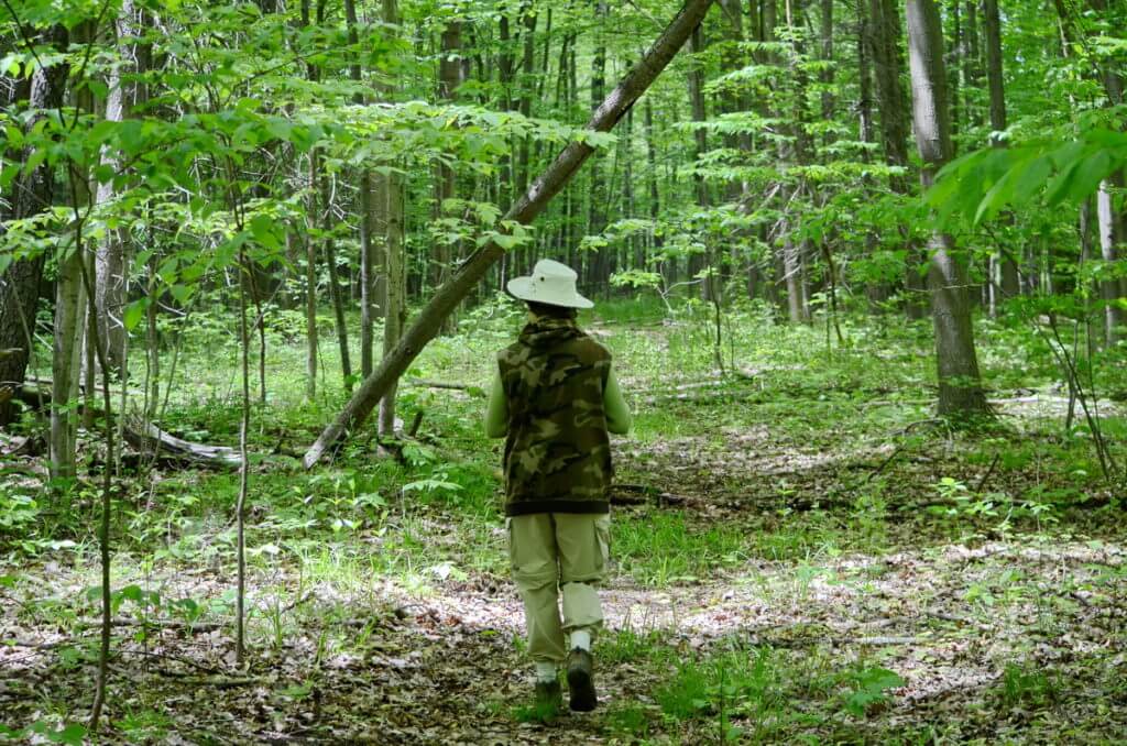 jean in rouge national urban park, toronto