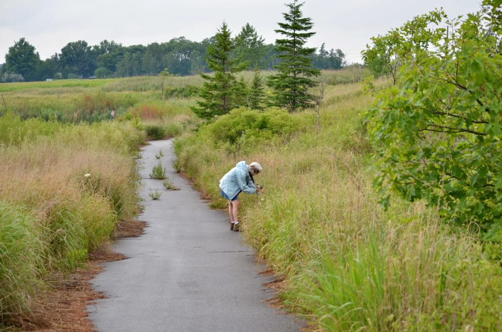 north reesor pond trail, rouge national urban park, markham, ontario