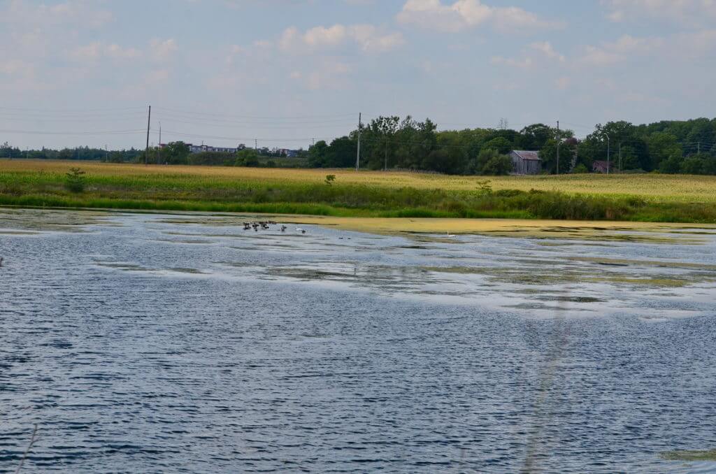 North Reesor Pond, Rouge National Urban Park, Markham