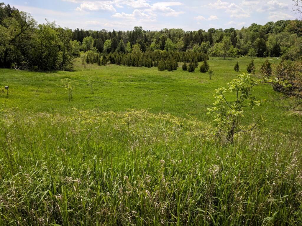 bob hunter memorial conservation area, rouge national urban park, markham, ontario