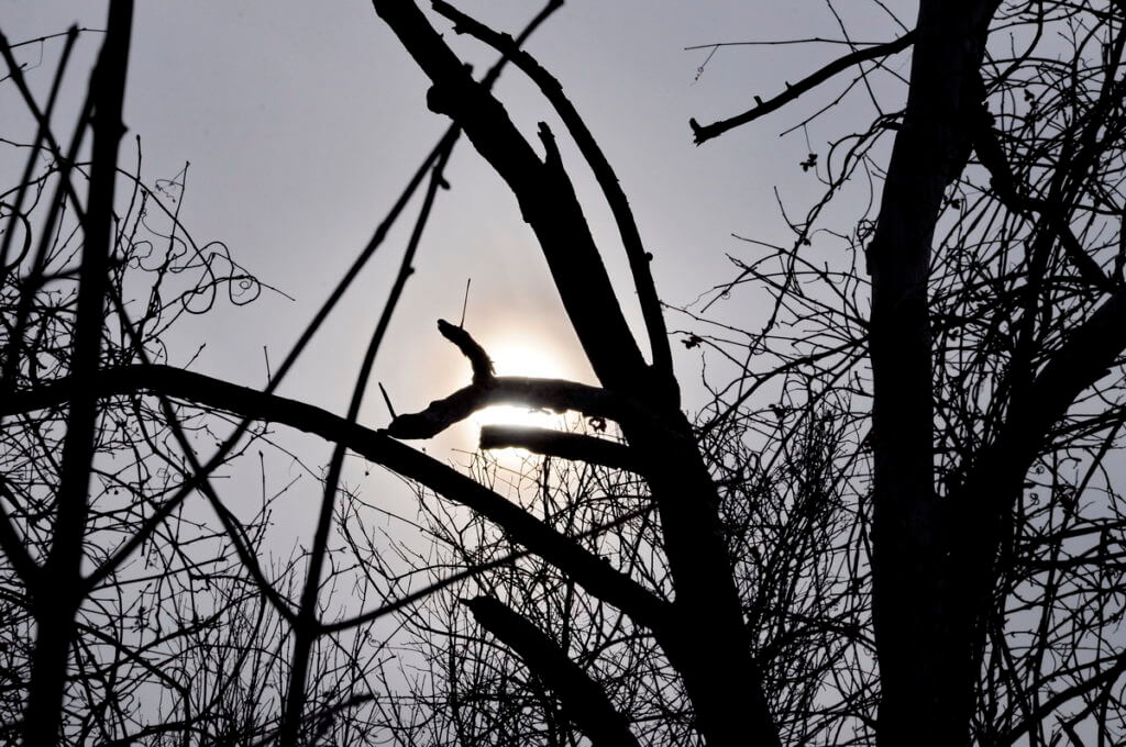 image of halo around the sun, altona forest, pickering, ontario