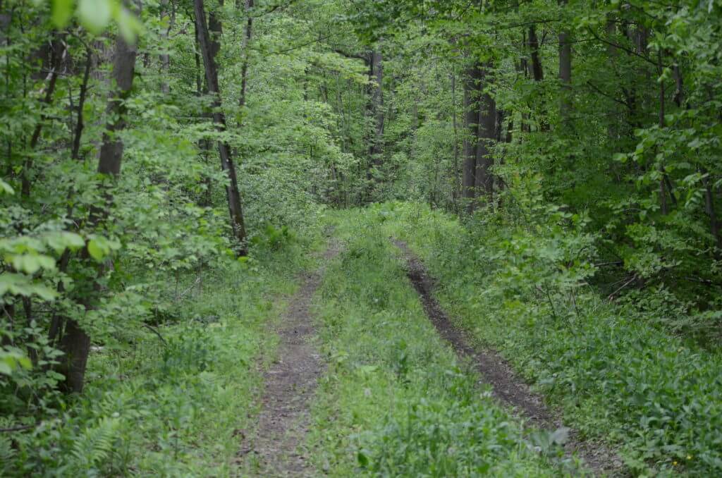 trail in rouge national urban park, toronto