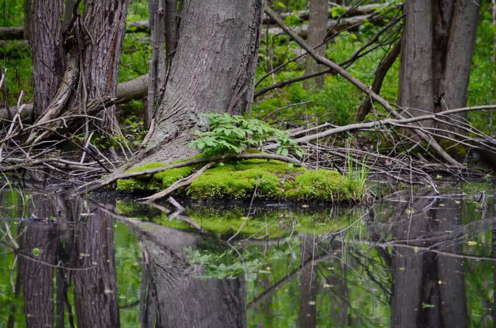 rouge national urban park, toronto