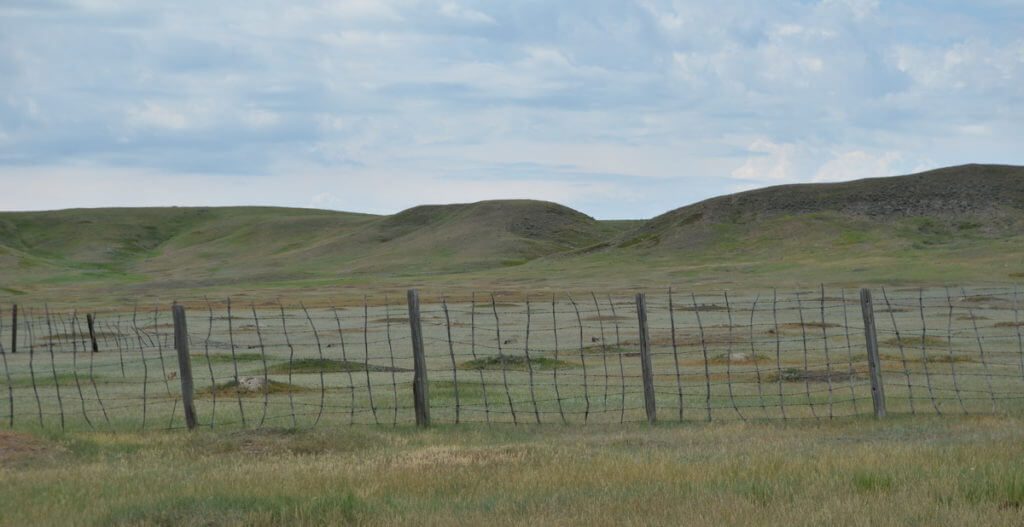 Image of prairie dog town behind fencing at grasslands national park, saskatchewan