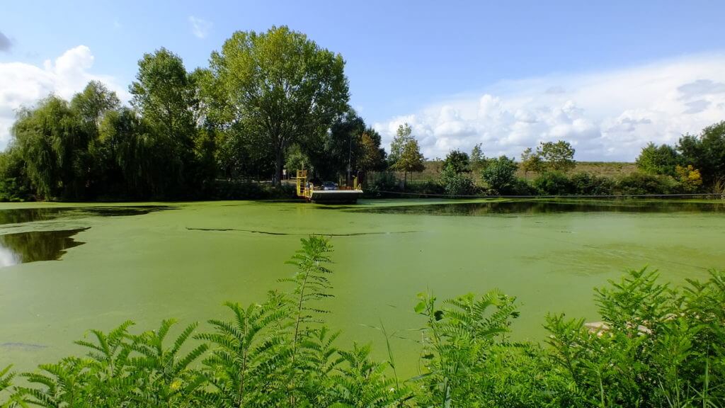 ferry, reno river, sant'alberto, italy