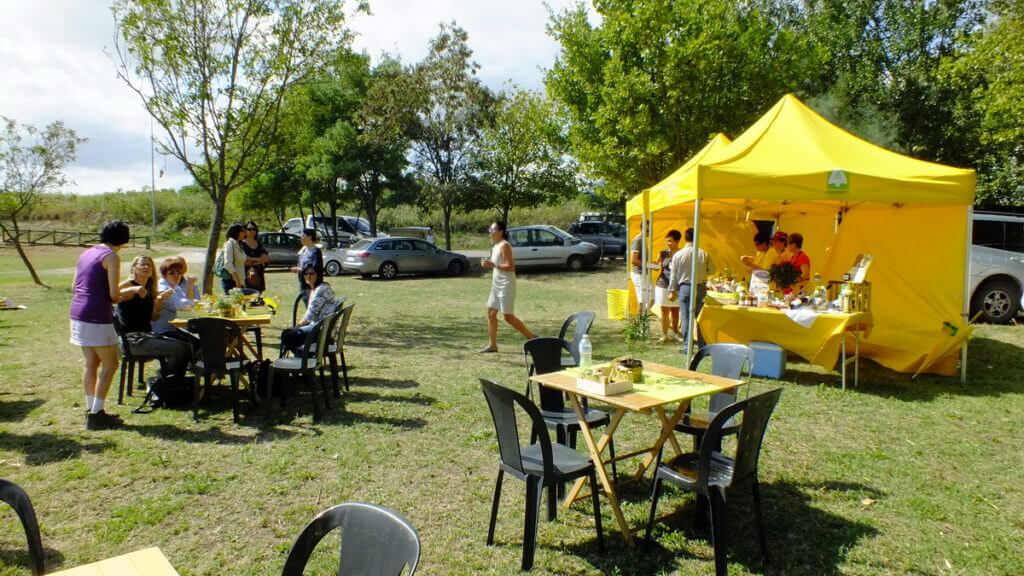 a scampagnata or country picnic, sant'alberto, italy