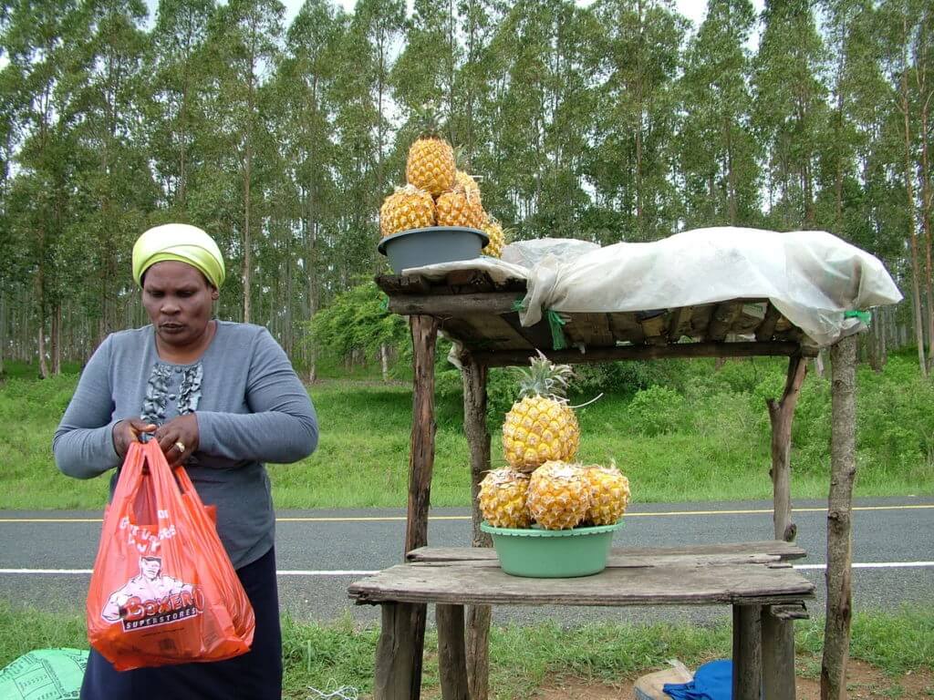 roadside vendor, KwaZulu-Natal, South Africa