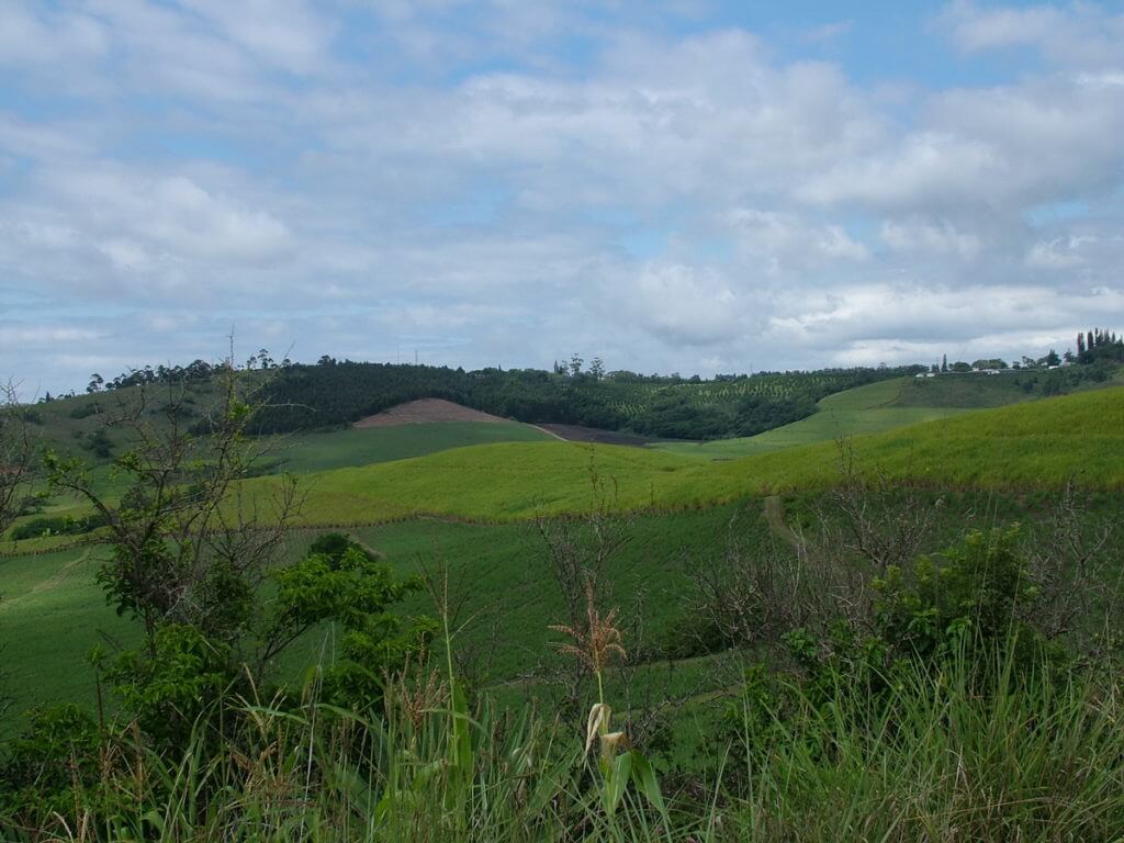 farm fields, KwaZulu-Natal, South Africa