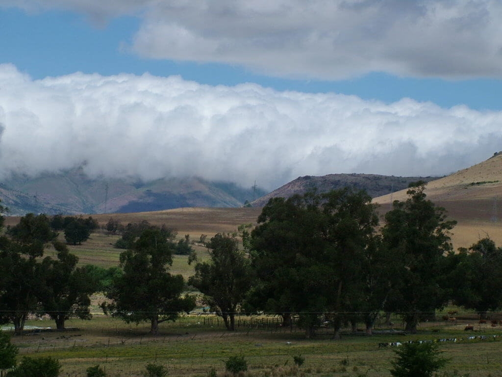 a rolling bank of fog, south africa