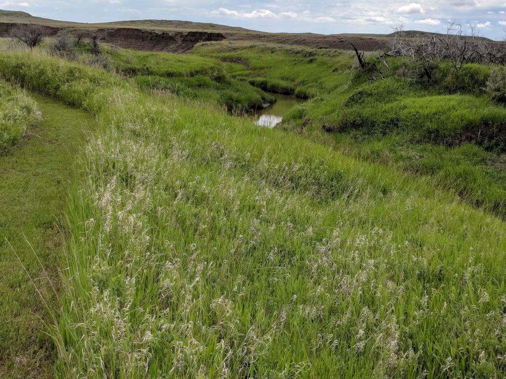 the riverwalk trail, grasslands national park, saskatchewan