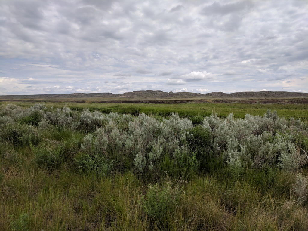 riverwalk trail, grasslands national park, saskatchewan