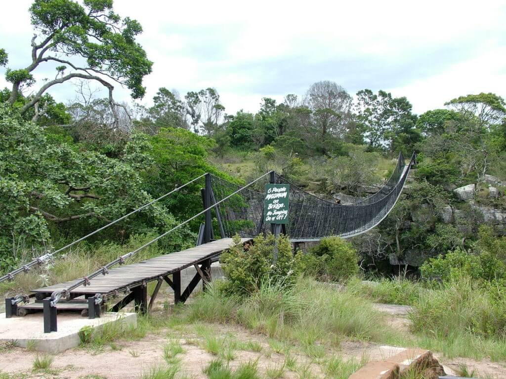 suspension bridge, oribi gorge, south africa