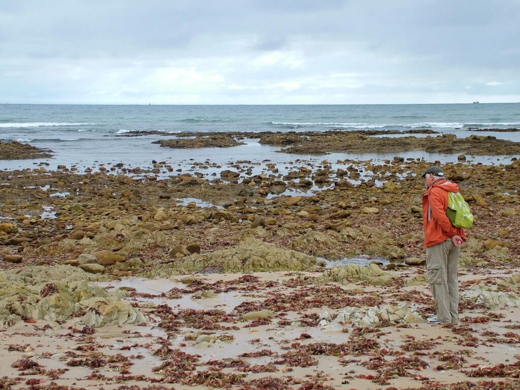 bob on the beach, indian ocean, port elizabeth, south africa