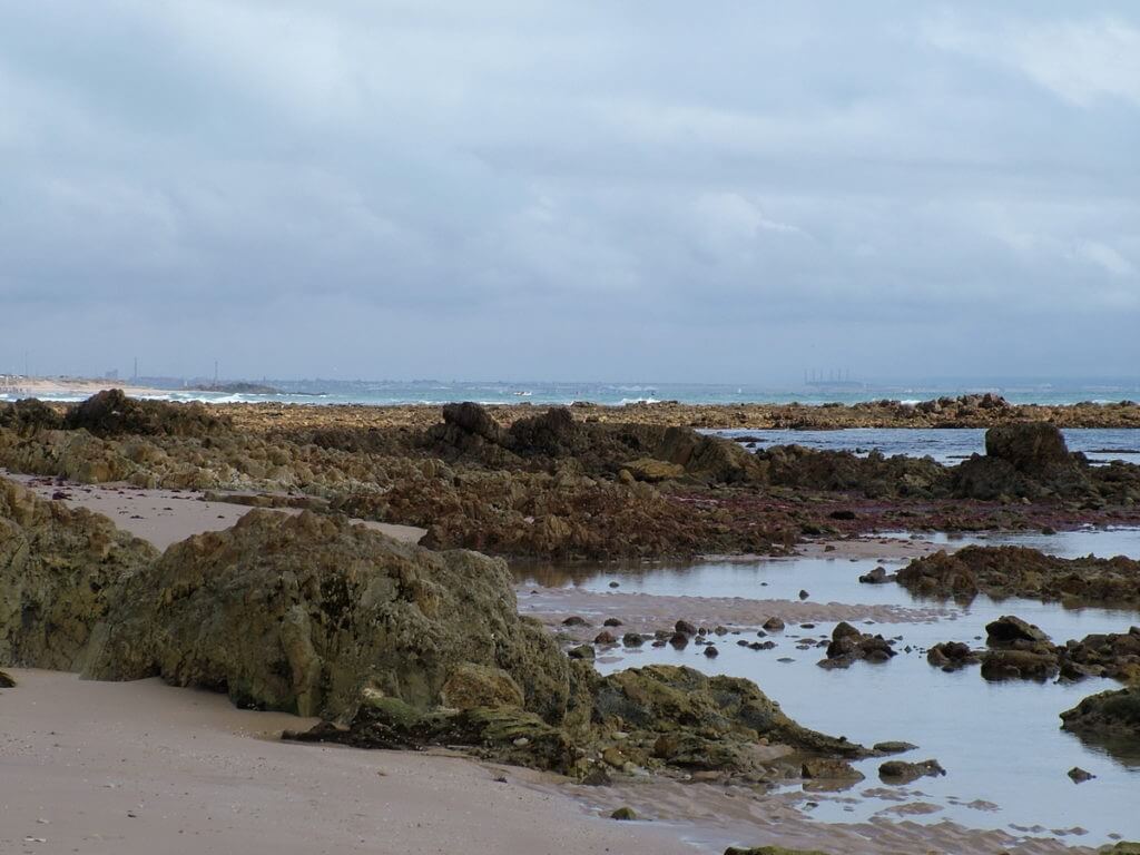 seashore, indian ocean, port elizabeth, south africa