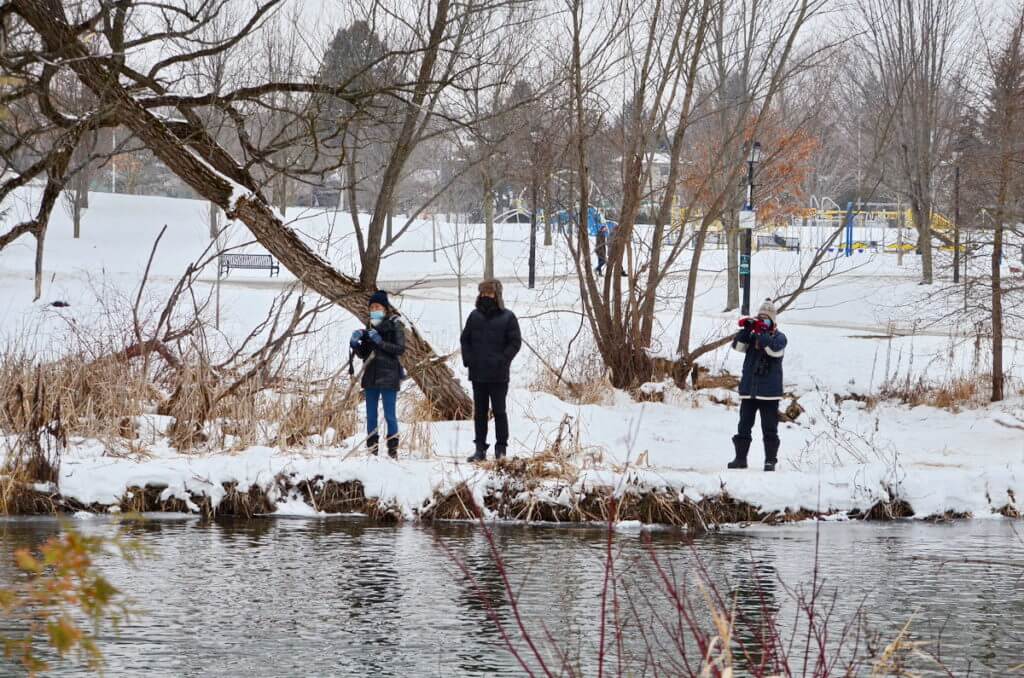 photographers, fairy lake park, newmarket, ontario 