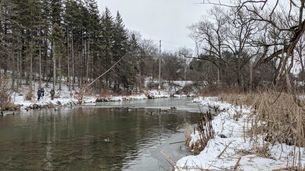 east holland river, fairy lake park, newmarket, ontario