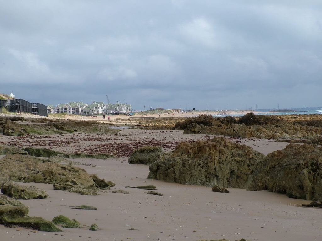 the beach, indian ocean, port elizabeth, south africa