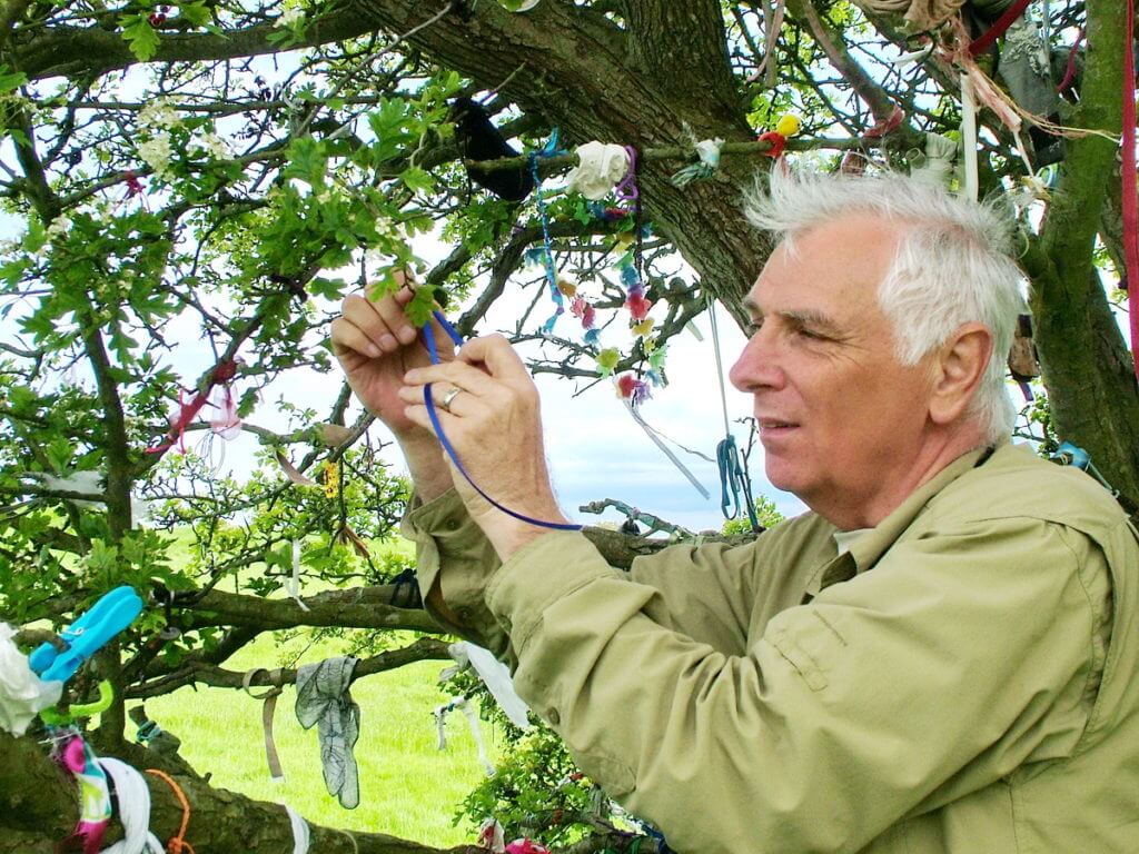 bab at the fairy tree, hill of tara, county meath, ireland