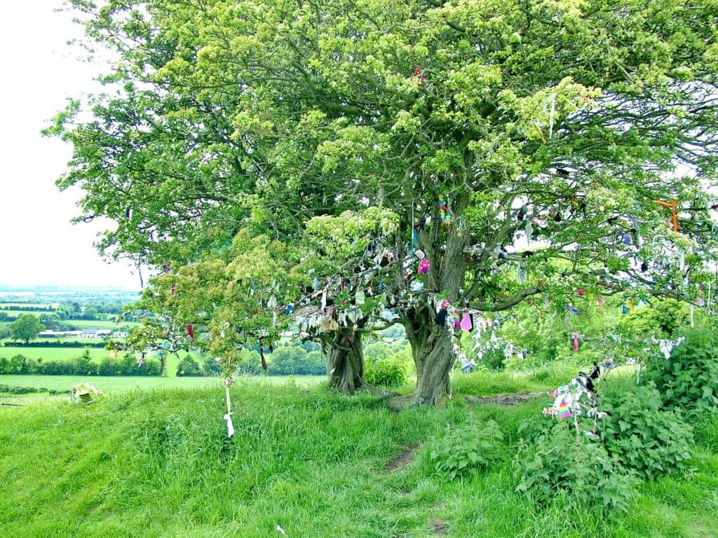 wishing tree, rag tree, fairy tree, the hill of tara, county meath, ireland