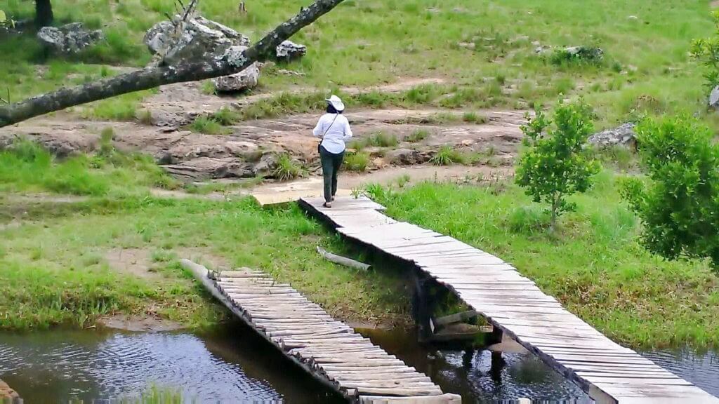 footbridge above lehr's fall, oribi gorge, south africa