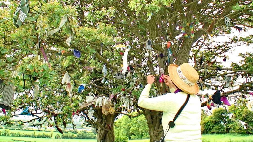 jean at the fairy tree of tara, county meath, ireland