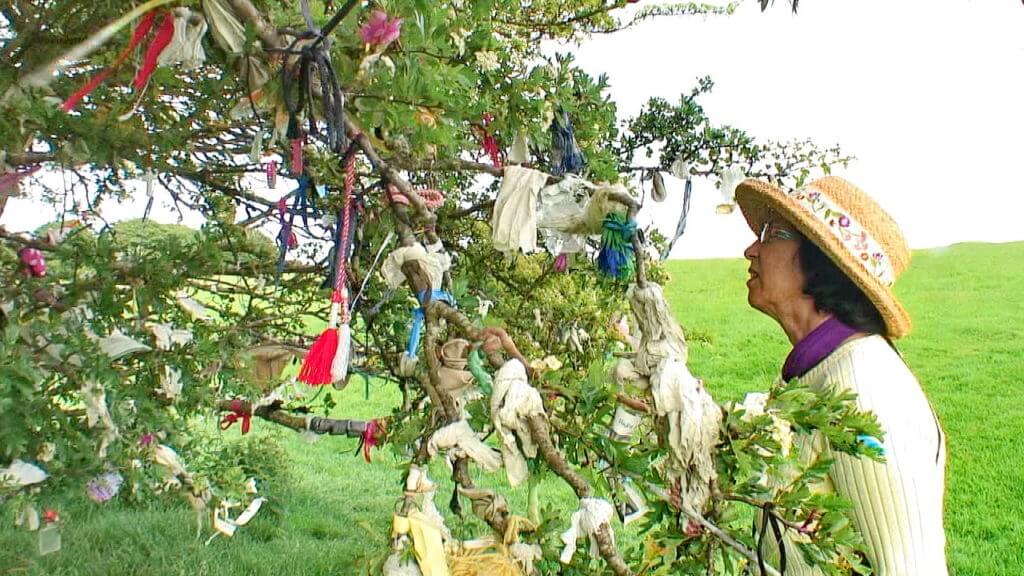 jean at the wishing tree of tara, county meath, ireland