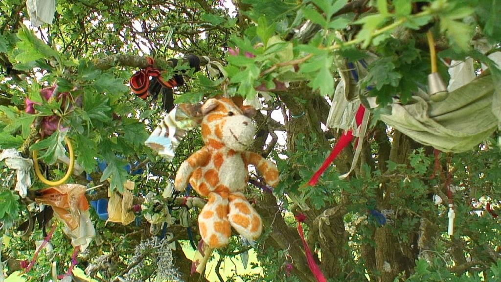 clotties, offerings, wishing tree, hill of tara, ireland