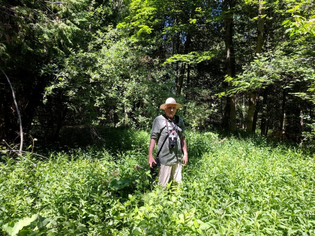 bob in rouge national urban park, toronto, ontario