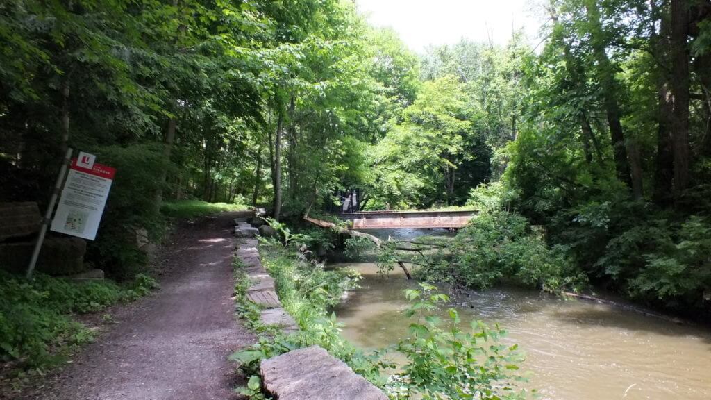 glendon forest trail, toronto, ontario