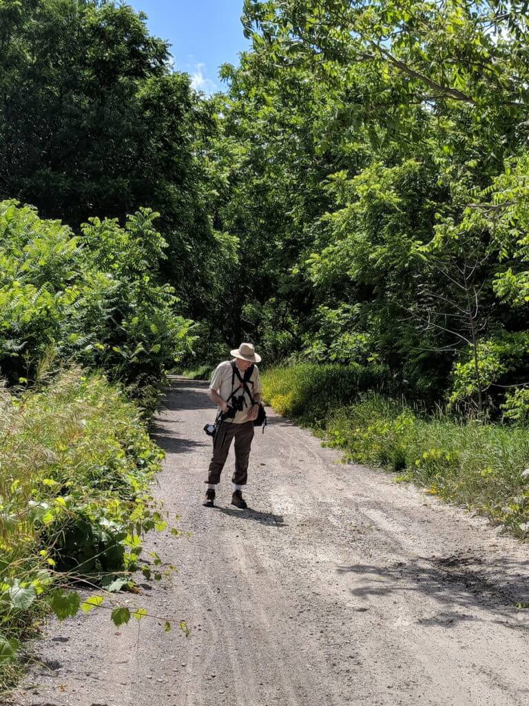 bob in rouge national urban park, markham, ontario