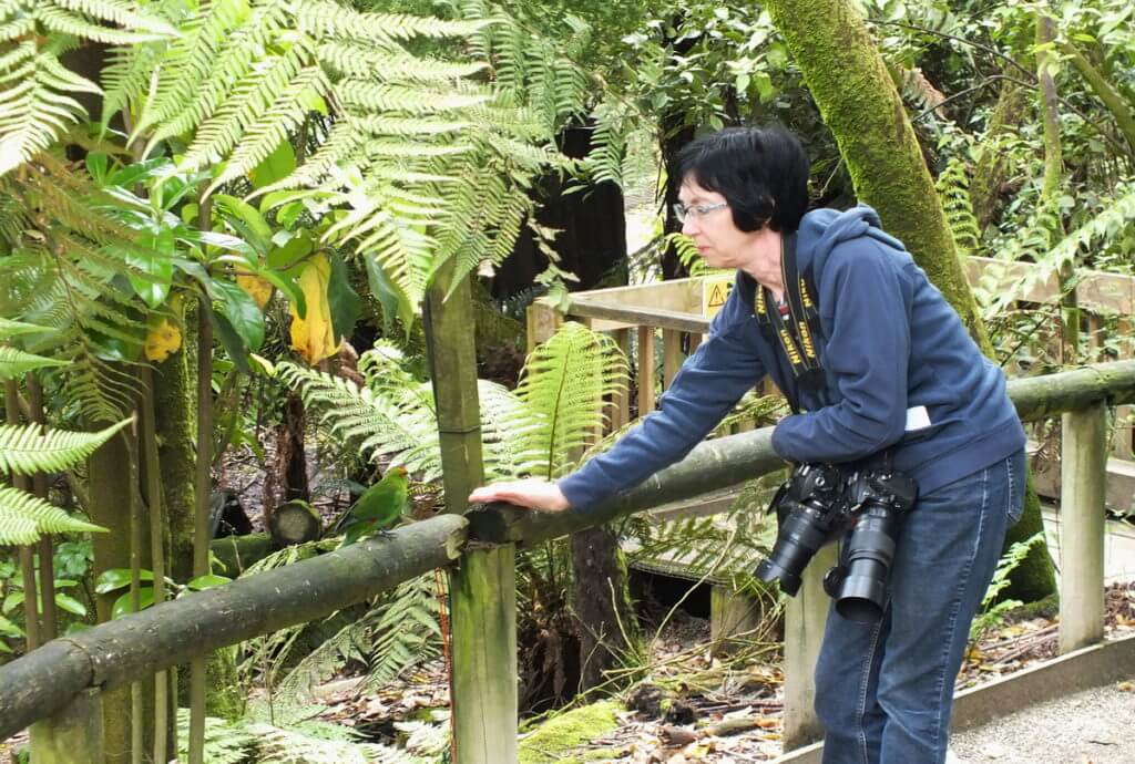 jean at otorohanga kiwi house & native bird park, otorohanga, new zealand