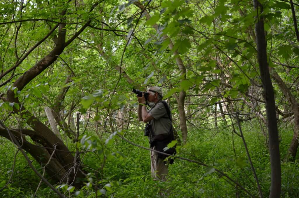 an image of bob in the forest, markham, ontario