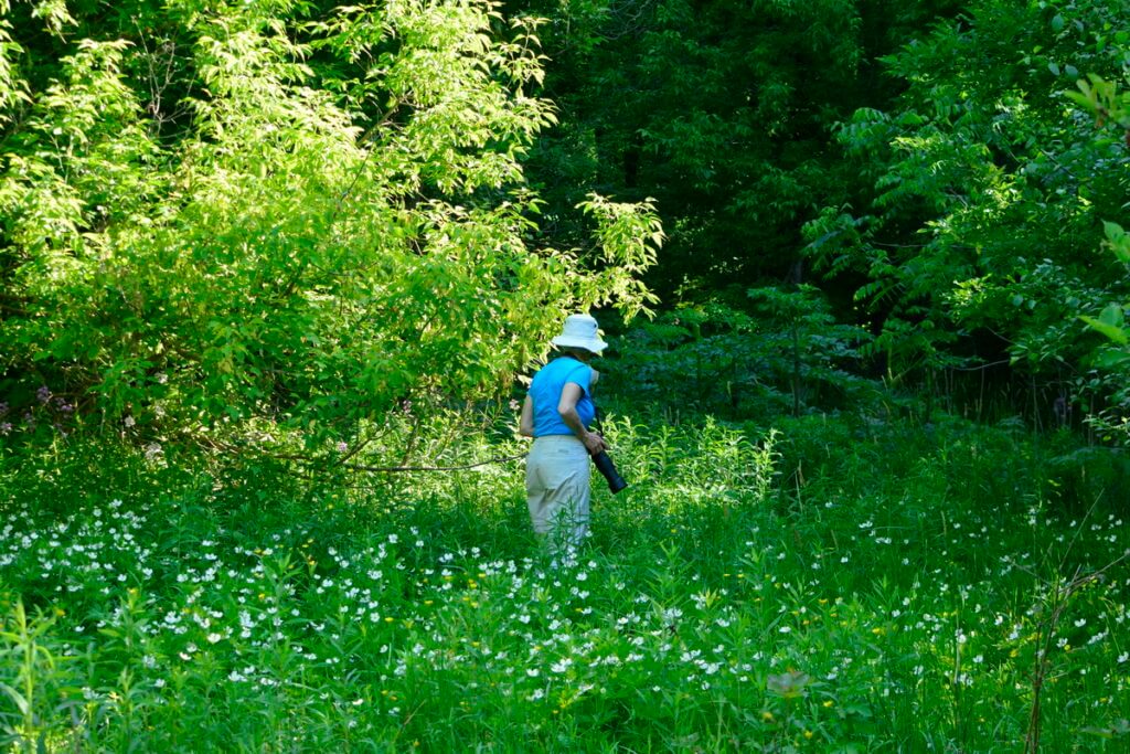 jean in a green space, markham, ontario