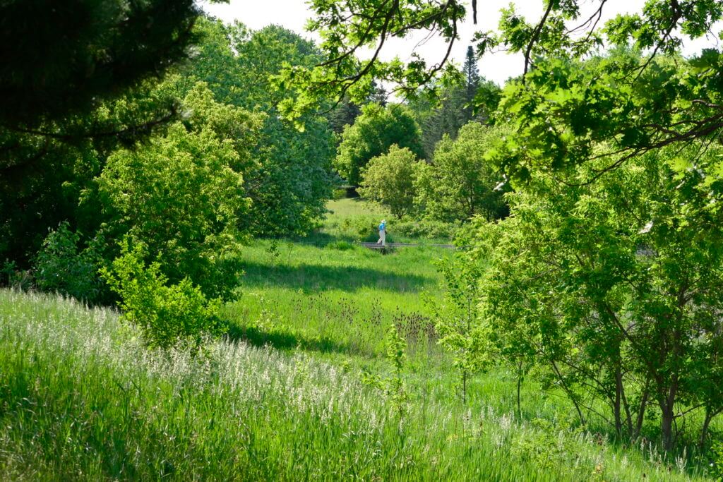 green space in markham, ontario
