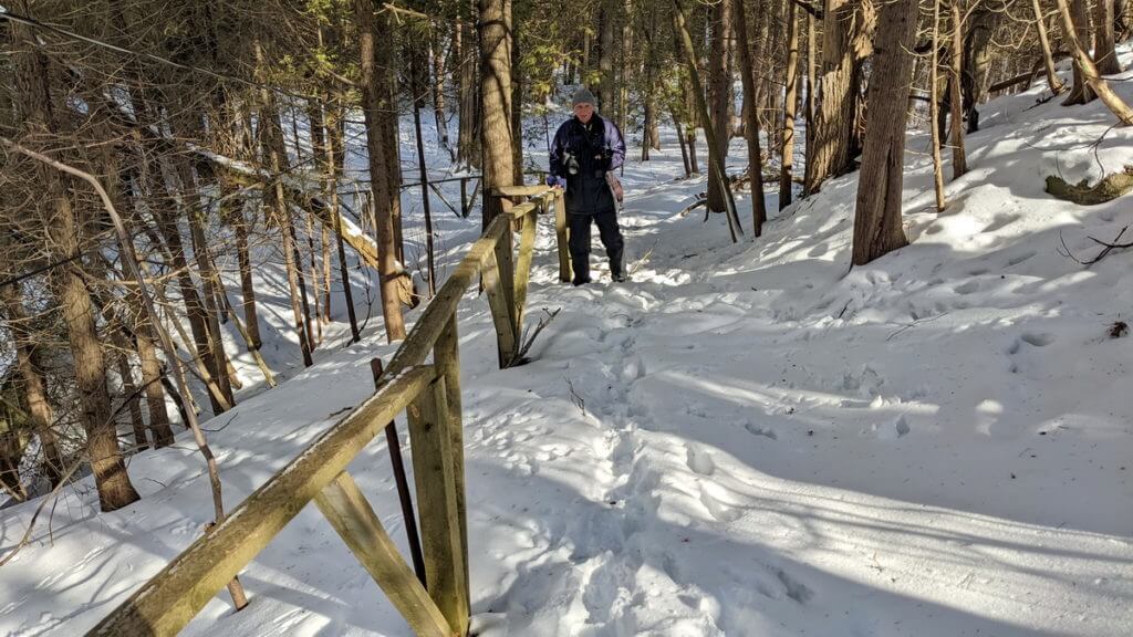 woodland trail to cedarena skating rink, 2022, cedar grove, markham, ontario