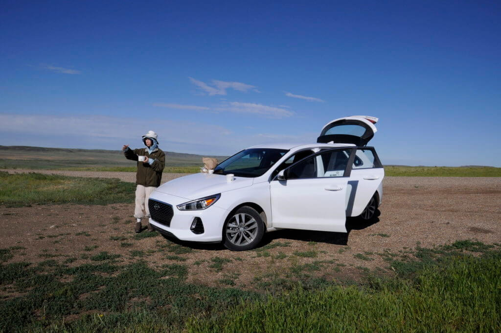 Image of Jean having a picnic breakfast in grasslands national park, saskatchewan, Canada