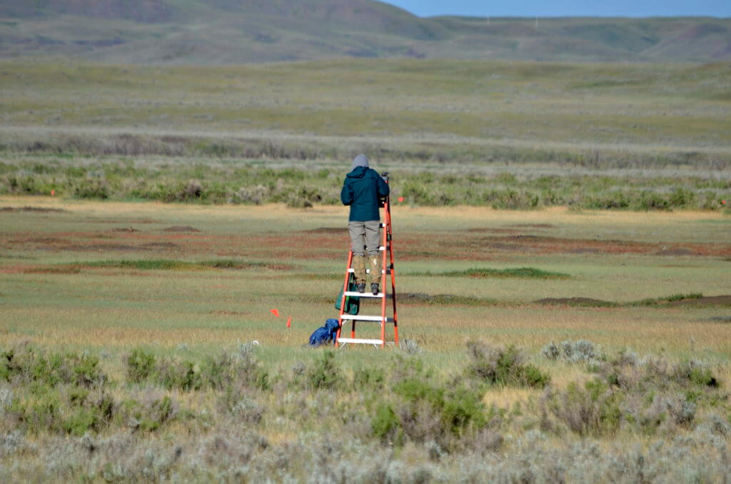Image of a person conducting a study of a prairie dog colony in grasslands national park, saskatchewan