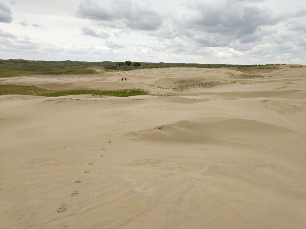 sand dunes, great sand hills ecological reserve, saskatchewan