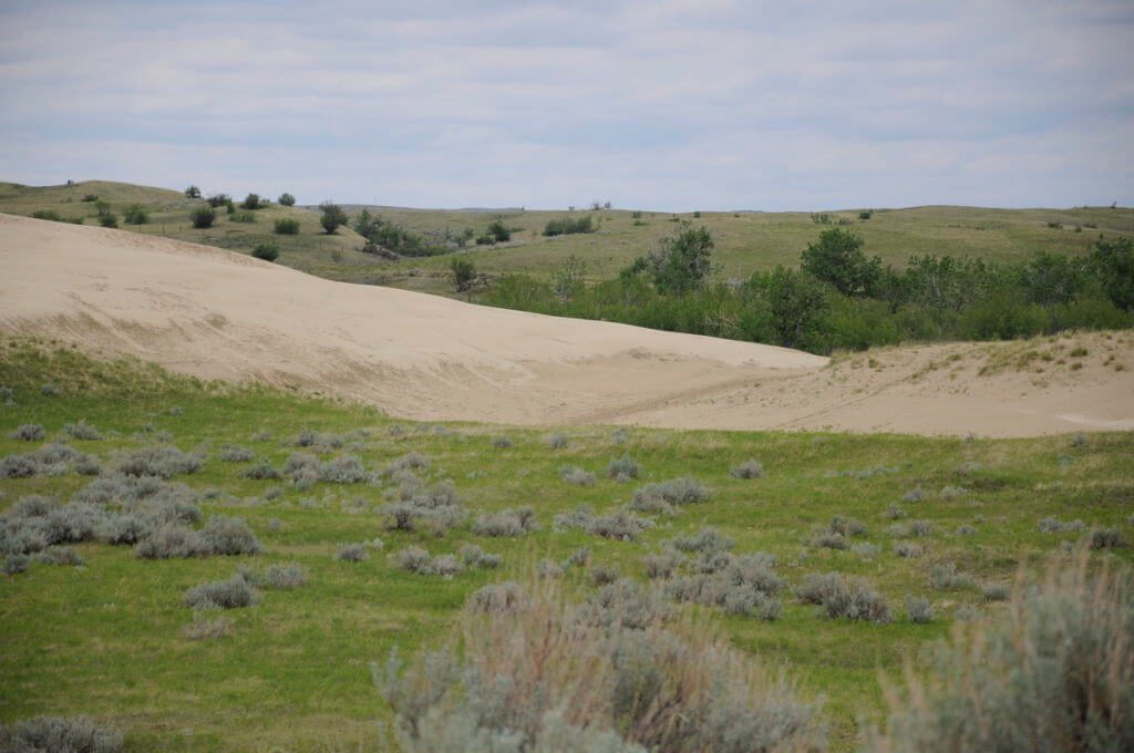 sand dunes, great sand hills ecological reserve, saskatchewan
