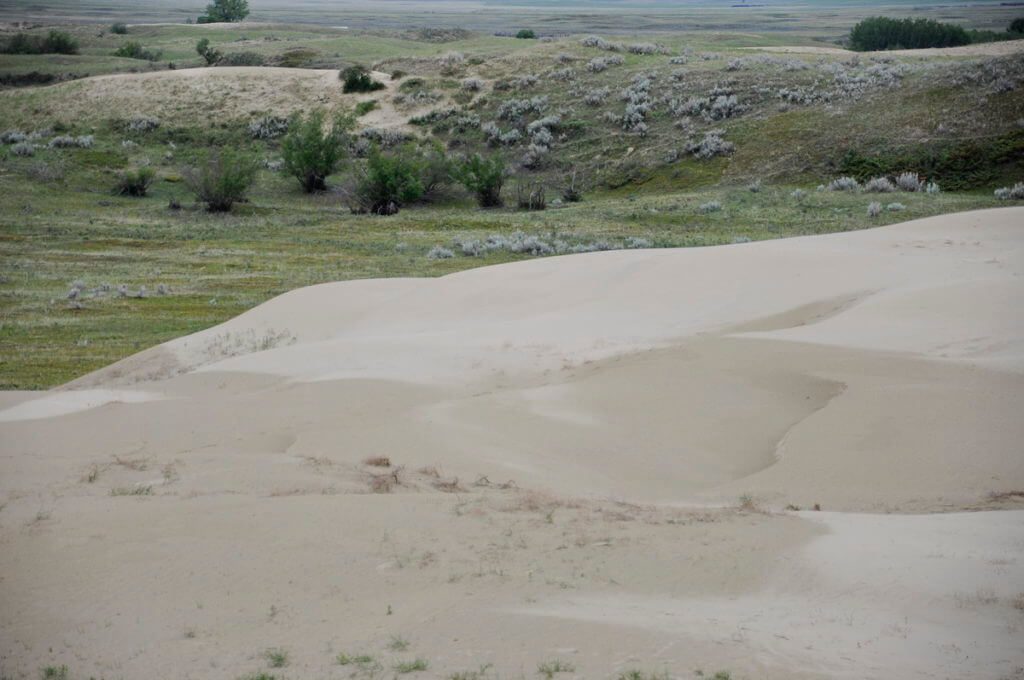 sand dunes, great sand hills ecological reserve, saskatchewan