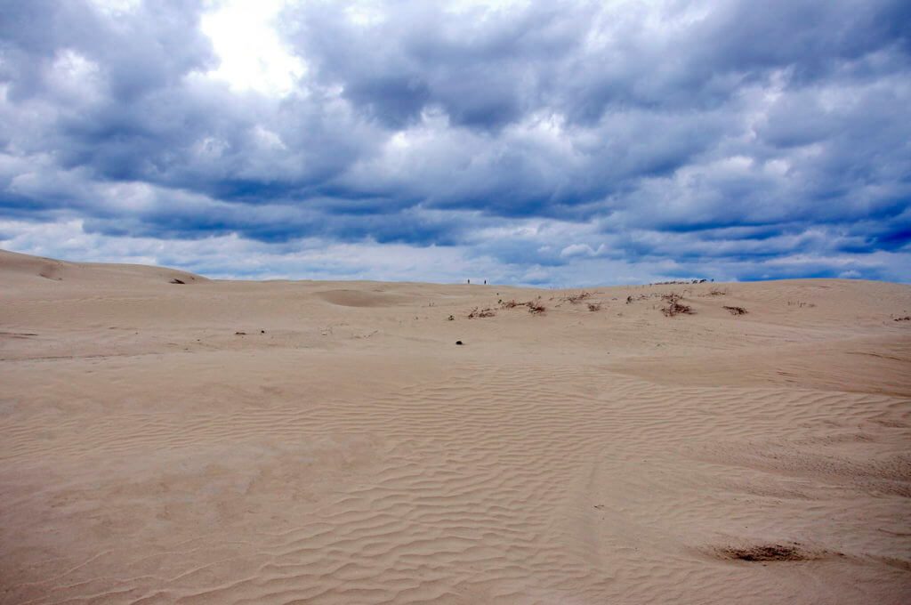 sand dunes, great sand hills ecological reserve, saskatchewan