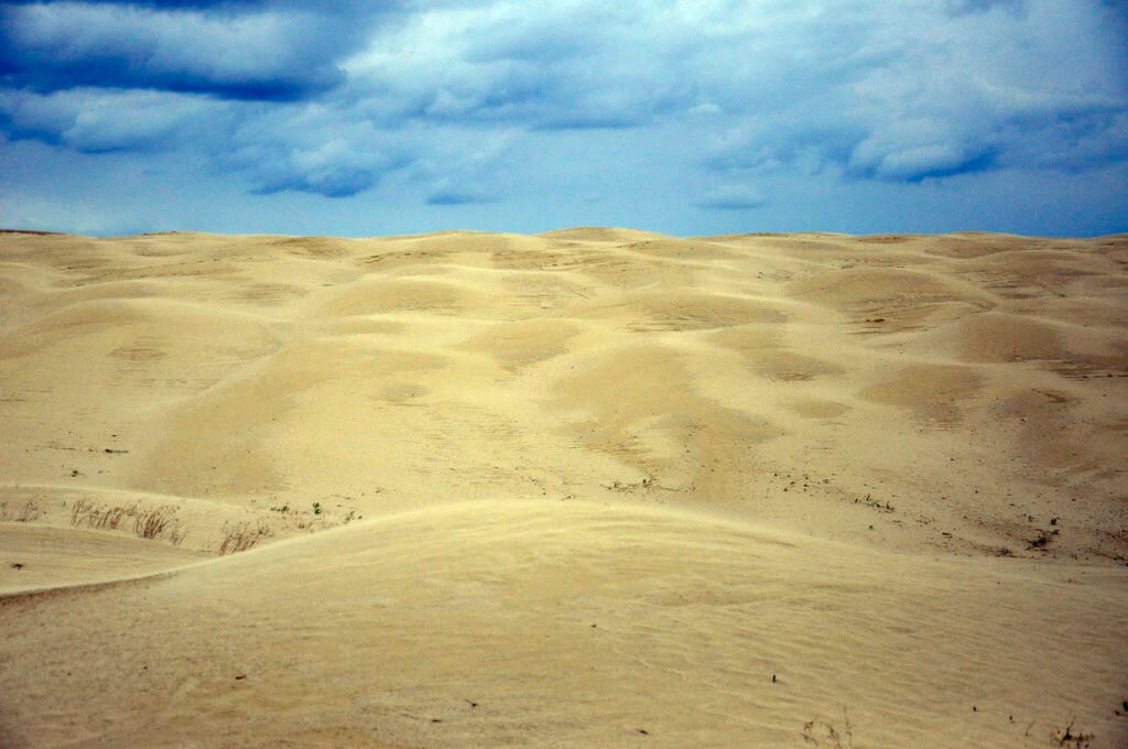 sand dunes, great sand hills ecological reserve, saskatchewan