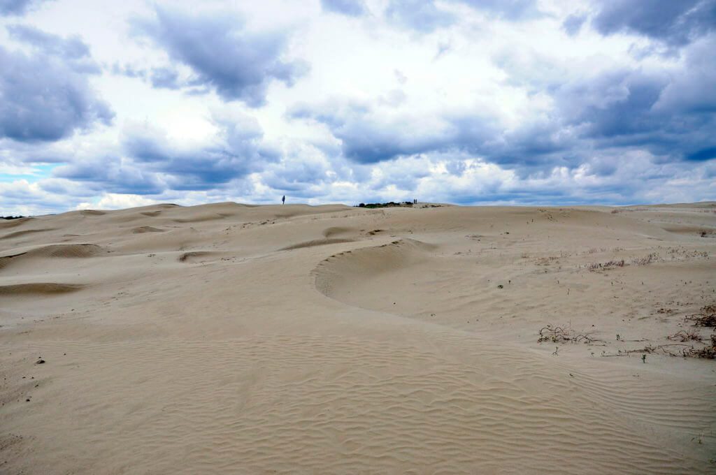 sand dunes, great sand hills ecological reserve, saskatchewan