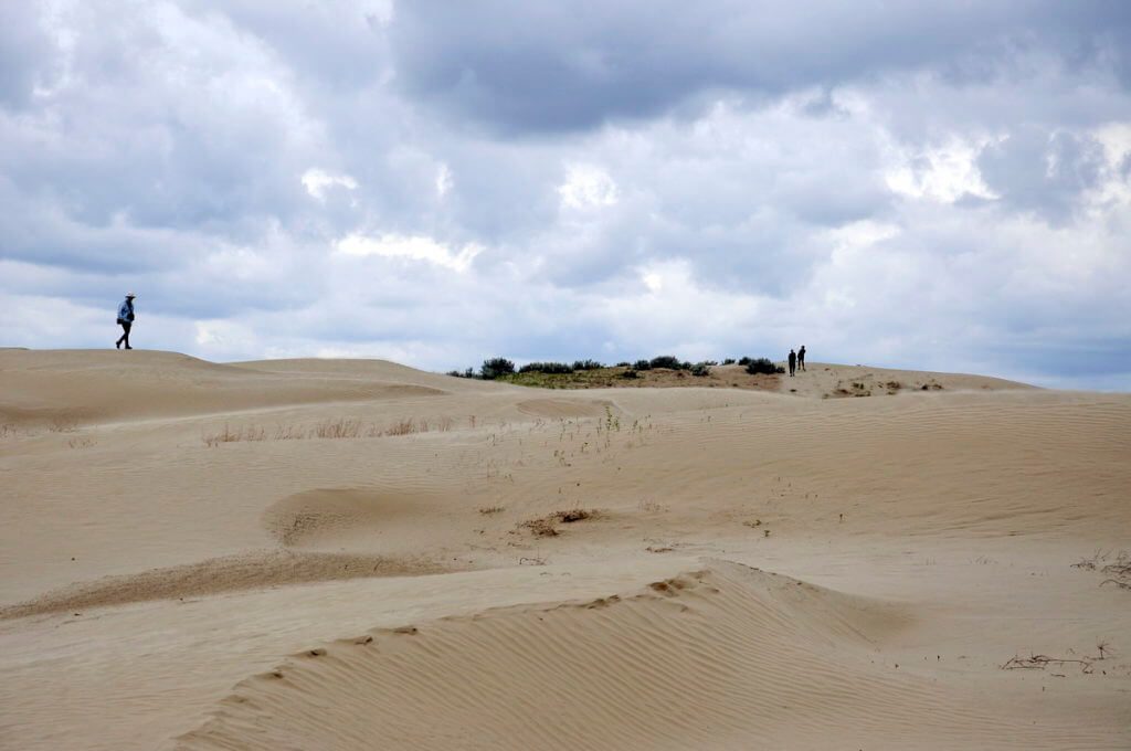 sand dunes, great sand hills ecological reserve, saskatchewan