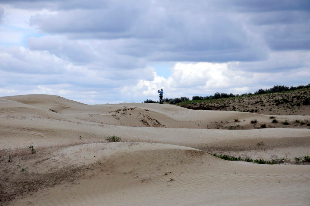 sand dunes, great sand hills ecological reserve, saskatchewan