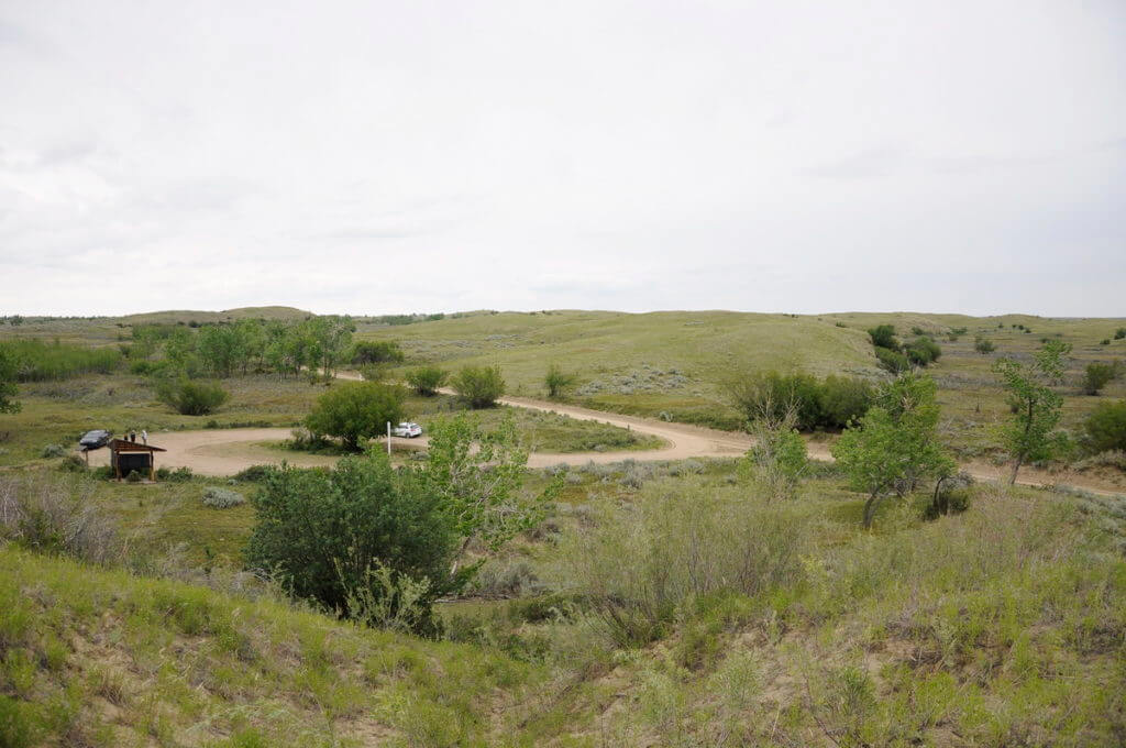great sand hills ecological reserve, saskatchewan