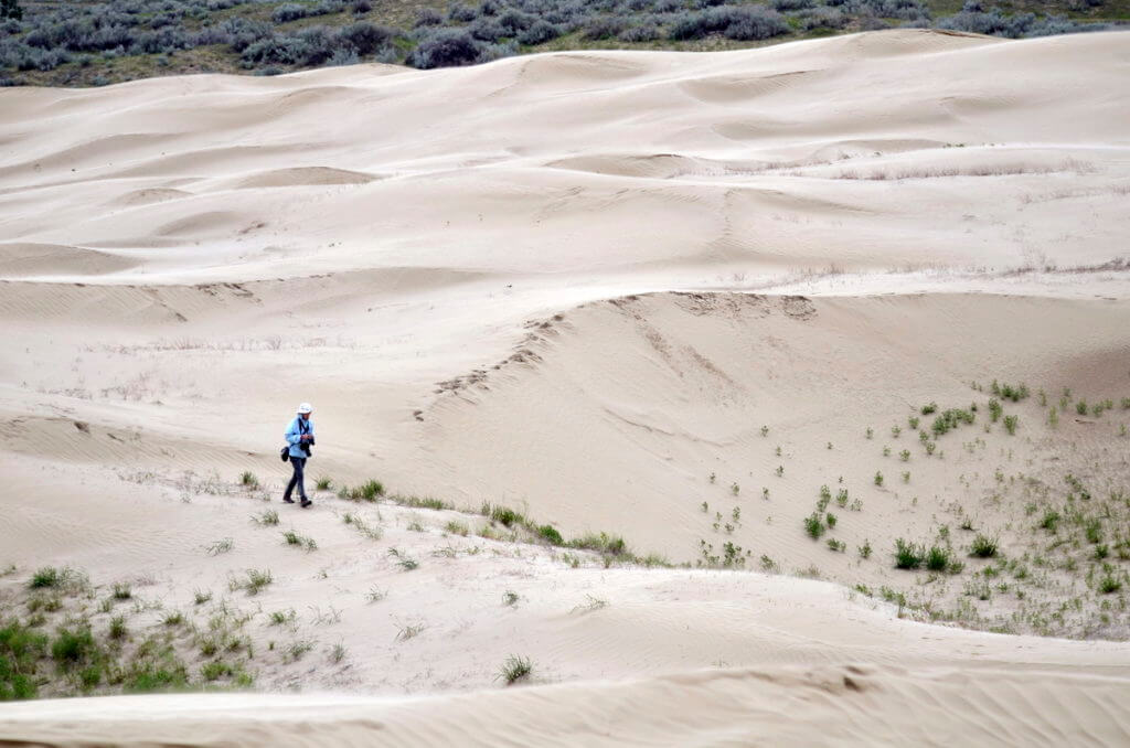 sand dunes, great sand hills ecological reserve, saskatchewan