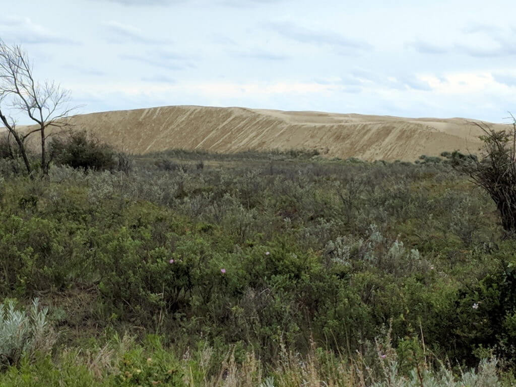 sand dune, great sand hills ecological reserve, saskatchewan