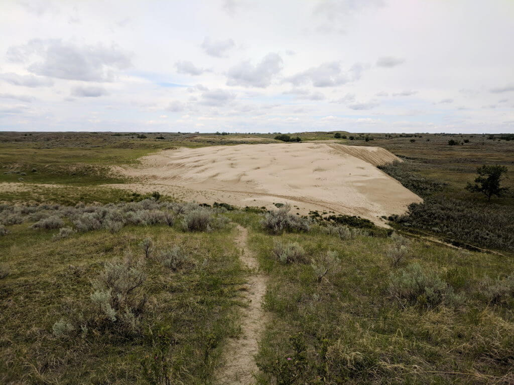 sand dunes, great sand hills ecological reserve, saskatchewan