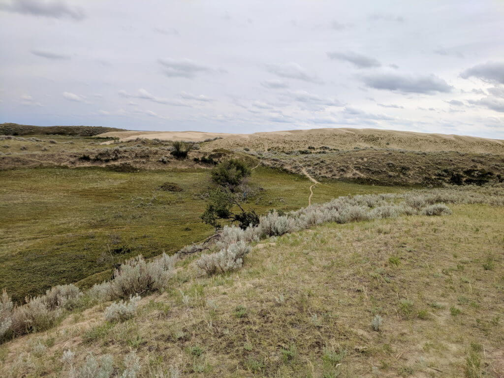 sand dunes, great sand hills ecological reserve, saskatchewan